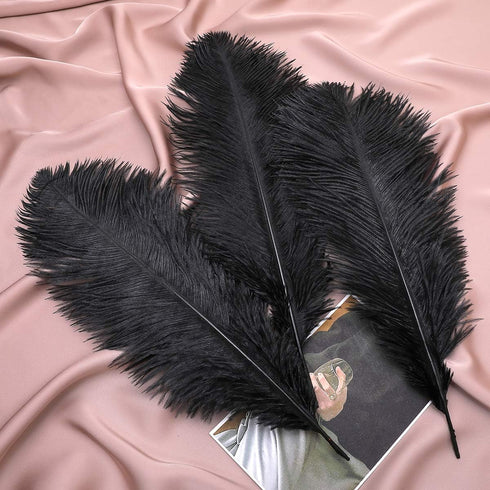 12pcs Natural Black Ostrich Feathers 12-14inch (30-35cm) for Wedding Party Centerpieces?Flower Arrangement and Home Decoration....