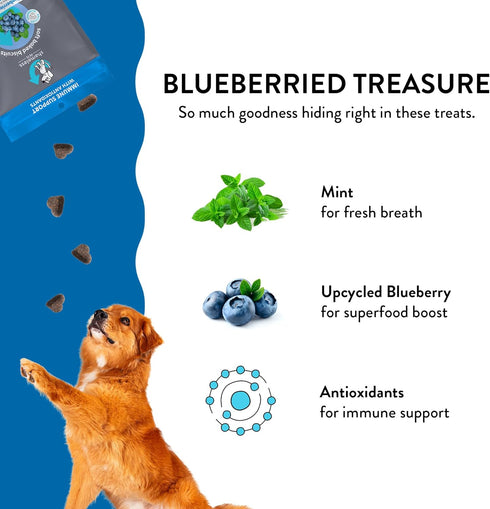 Shameless Pets Soft-Baked Dog Treats, Blueberried Treasure - Natural & Healthy Dog Chews with Mint for Immune Support - Dog Biscuits Baked & Made ...