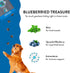 Shameless Pets Soft-Baked Dog Treats, Blueberried Treasure - Natural & Healthy Dog Chews with Mint for Immune Support - Dog Biscuits Baked & Made ...
