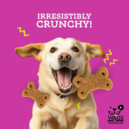 Wags & Wiggles Super HIPS Functional Treats for Dogs, Chicken Flavor, 5.5 Resealable Bag | Hip & Joint Support Dog Treats with Green Lipped Mussel...