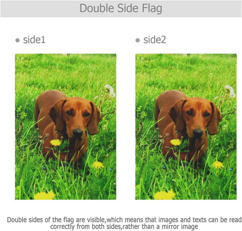 Dachshund Dog Garden Flag Double Sided 12 x 18 Inch, Yard Flags, Decorative Small Garden Flags, Outdoor Lawn and Garden Décor...