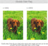 Dachshund Dog Garden Flag Double Sided 12 x 18 Inch, Yard Flags, Decorative Small Garden Flags, Outdoor Lawn and Garden Décor...