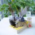 Polyresin Sunflower Fairy Garden Statue - Sitting Angel Figurines with Bird Feeder | Decoration for Large Lawn, Bath, and Yard Outdoor Clearance (...