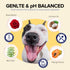 Clean Paws, Dog Paw Cleaner, No-Rinse Foaming Cleanser, Moisturizing & Deodorizing Paw Wash with Silicone Bristle Brush, Deep Clean, Easy & Portab...