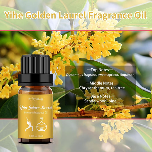 BURIBURI Hotel Scent Essential Oil, Lifestyle Hotel Collection Fragrance Aromatherapy Oil Blends, Air Freshener Hotel Collection Diffuser Oil - Yi...