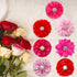 20pcs Pink Rose Red Pet Dog Collar Attachment Flower Bows, Slide Small Dog Collar Bowties, Removable Dog Bowties for Holiday Festival Valentine's ...