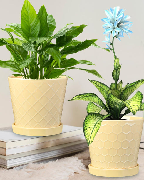 EFISPSS Ceramic Plant Pots, 6Inch Pots for Indoor Plants Set of 2, Planters with Drainage Holes and Ceramic Tray, Flower Pots Desktop Office Windo...