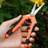 Gardening Scissor Sharp Stainless Steel Small Shears Cutting Flowers Trimming Plants Yard Florist Flower Rose Herb Hedge Bonsai Fruits Picking...