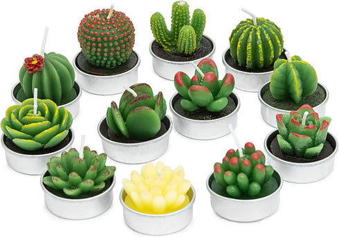 Handmade Delicate Succulent Cactus Candles for Birthday Party Wedding Spa Home Decoration(12 Packs-2)...