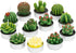 Handmade Delicate Succulent Cactus Candles for Birthday Party Wedding Spa Home Decoration(12 Packs-2)...
