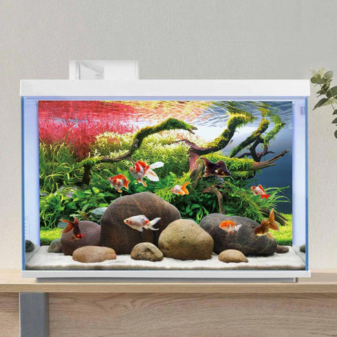 AWERT 48x24 inches Branches Fish Tank Background Stone Seaweed Aquarium Background River Bed & Lake Aquarium Background Vinyl Background...