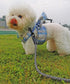 Long Rope Leash for Dog Training 12, 15, 22, 30, 50, 75, 100ft Check Cord Recall Agility Lead Dog Tie Out Line for Large Medium Small Dogs, Great ...