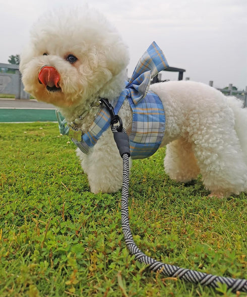 Long Rope Leash for Dog Training 12, 15, 22, 30, 50, 75, 100ft Check Cord Recall Agility Lead Tie Out Dog Line for Medium Small Dogs, Great for Ou...
