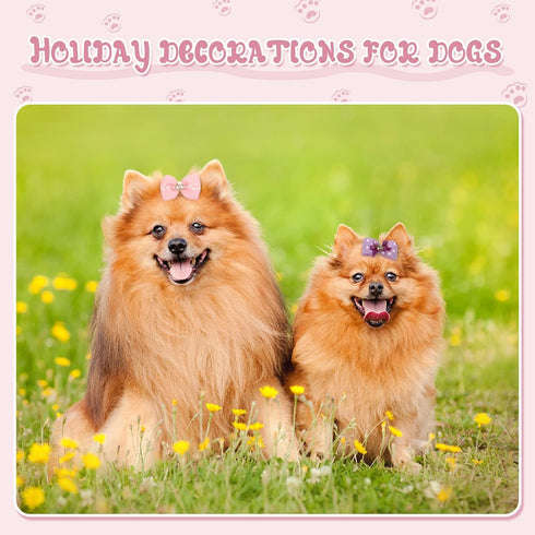 20 Pcs Dog Hair Bows for Small Dogs Hair Accessories Puppy Hair Bows for Dogs Small Dog Bows Cute Grooming Bows with Rubber Bands Handmade Puppy B...