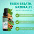 Wellnesse Concentrated Organic Mouthwash with Organic Peppermint Oil and Cinnamon Leaf Oil, Alcohol-Free Natural Mouthwash-Freshens Breath - Oral ...