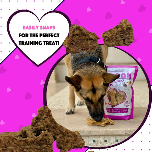 Chicken Jerky Snaps, Gluten and Grain Free Low Calorie Training Treat Snacks with Pumpkin, Perfect for Dogs 14 Ounces...