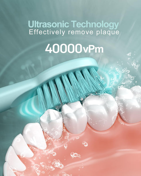 USB Rechargeable Sonic Electric Toothbrush for Adults Powered Motor Soft Dupont Brush Heads 2 Minutes Timer 5 Modes Teeth Whitening, Green...