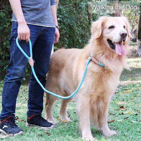 Puppy Pet Cat Dog Leash Collar Basic Accessories Reflective Retractable Dog Rope Pet Traction Belt 5FT(Medium 0.39IN, 24-66LB, Blue)...
