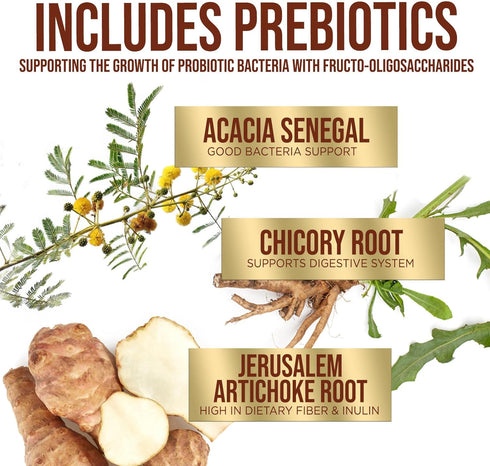 Probiotics 60 Billion CFU - 10 Probiotic Strains, Prebiotics, & Digestive Enzymes - Immune, Digestive & Gut Health - Supports Bowel Frequency & Re...