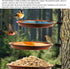 Tree Mount Bird Tray, Large Capacity Tree Mounted Bird Feeder with Heavy Duty Metal Ring for Terrace (3 Pot and 3 Bracket)...