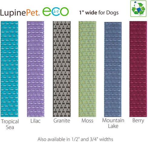 Martingale Dog Collar by Lupine ECO collection 1" wide Berry adjusts 15" to 22"...