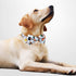 KUDES 2 Pack Print Dog Collars with Bow Tie, Adjustable Dog Collar with Bells and Charm Safety Buckle Cute Pet Collars for Small/Medium/Large Dogs...