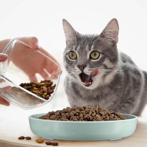 2 Pcs Cat Slow Feeder Bowl Cat Fish Pool Design Feeder Cat Dish Fun Interactive Cat Food Bowl Feeder Healthy Eating Diet Cat Bowls for Pet Cats Pu...