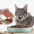 2 Pcs Cat Slow Feeder Bowl Cat Fish Pool Design Feeder Cat Dish Fun Interactive Cat Food Bowl Feeder Healthy Eating Diet Cat Bowls for Pet Cats Pu...