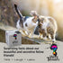 About Cats - Fun Cat Trivia Game for Cat Lovers - Cat Themed Game for Cat People of All Ages - Funny Cat Facts for Kids & Adults - 150 Cat Trivia ...