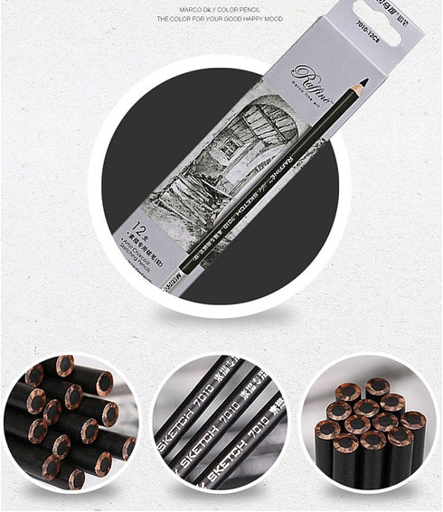 Sketch Pencil Charcoal Sketch Pencil Set, Pencil Core Hardness Medium - 12 pcs...