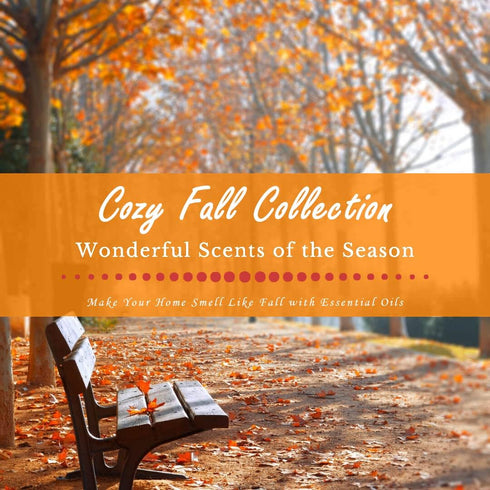 SALUBRITO Fall Essential Oils Set, Autumn Fragrance Oil for Diffuser, Candle Making, Aromatherapy Oils Gift - Cinnamon, Pumpkin Spice, Vanilla, Sn...