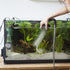 Mipcase 4Pcs Red Worm Feeder Shrimp Feeding Dish with Suction Cup Aquarium Glass Cone Feeder Cup Floating Fish Tank Feeding Food Bowl Plant Holder...