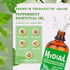 Peppermint Essential Oil 4OZ Peppermint Oil for Diffuser, DIY & Home Cleaning, Massage, Aromatherapy - 118ml...