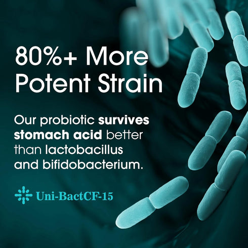 Probiotics for Women and Men - with Lactase Enzyme and Prebiotic Fiber for Digestive Health - 80%+ More Potent Supplement for Gut Health Support -...