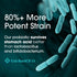 Probiotics for Women and Men - with Lactase Enzyme and Prebiotic Fiber for Digestive Health - 80%+ More Potent Supplement for Gut Health Support -...