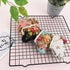 Floral Buckle Coin Purses 8Pcs Cute Rose Small Vintage Pouch Kiss-Lock Change Purse Wallets for Women Girls Kids Gift...