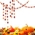 Fall Birthday Party Decorations/Burgundy Gold Orange Thanksgiving Birthday HAPPY BIRTHDAY Balloons Pumpkin Orange Autumn Fall Party Decorations...