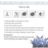 Rub On Transfer Sticker Scrapbook Stickers Flower Stickers Decoration Sticker Planner Stickers Plant Stickers for Scrapbooking Diary Album Journal...
