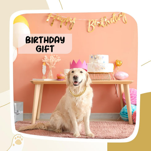 LEIFIDE Dog Chain Collar Gold 20 mm Wide Diamond Collar Large Dog Necklace Metal Pet Crystal Collar Jewelry Accessories for Medium Large Dogs(18 I...