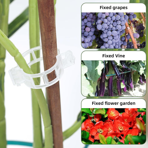 50 PCS Secured Plastic Plant Clip,Climbing Plant Support Garden Clips,For Support,Grape Vine,Tomato Vine, Vegetables Plants,Vine to Grow Upright a...