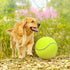 Pomeat 2 PCS Gaint Tennis Ball for Dogs, 9.5" Inflatable Large Tennis Balls Pet Chew Toy, Inflatable Rubber Non-Toxic Pet Toy Balls with Pump & Ne...