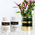 Gold Leaf Adhesive, 6.8oz Gilding Adhesive Set, Metal Leaf Glue and Varnish for Foil Transfer Sheets, Decor Foil, Arts Use (200ml + 2 Brushes + 2 ...