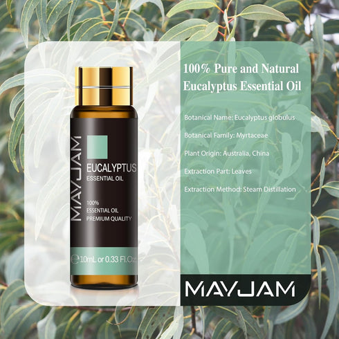 Eucalyptus Essential Oil, MAYJAM 10ML/0.33FL.OZ Premium Eucalyptus Oils for Soap Candle Making, Diffuser, Bedroom, Living Room, Office...