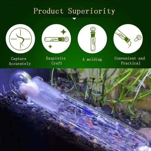 Planaria Trap Catch Trap Leeches Catcher, Aquarium Supplies Clear Glass Planarian Leech Trap Tube Catcher 3 Holes for Cherry Shrimp Crystal Red Sh...