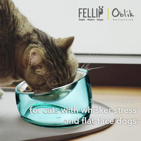 Felli Pet Oblik Anti Whisker Fatigue Cat Bowl Raised Stainless Steel Angled Wide Shallow Dish for Dry Wet Food, Vomit & Spill Proof Tilted Elevate...
