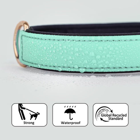 Didog Waterproof Dog Collar with Soft Padded, Strong Dog Collars with Metal Buckle, Lightweight and Breathable Dog Collars for Medium Dogs, Green,...