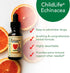 CHILDLIFE ESSENTIALS Echinacea for Kids - Kids Echinacea Drops, Liquid Tincture, Alcohol Free Supplement for Babies, Toddlers, Children - Natural ...