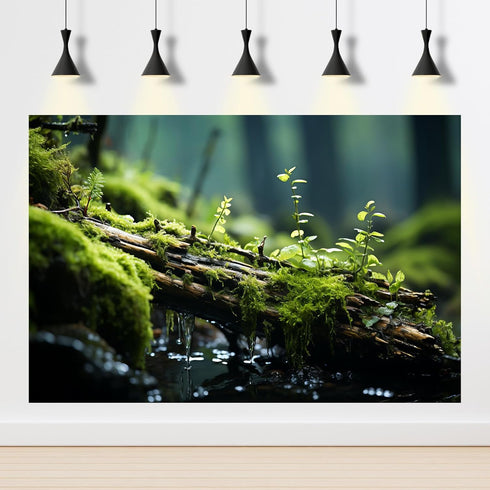 Stream Aquarium Background Moss and Ferns Terrarium Background Original Natural Stream Landscape Aquarium Backdrop Aquatic Plants Moss Fish Tank D...