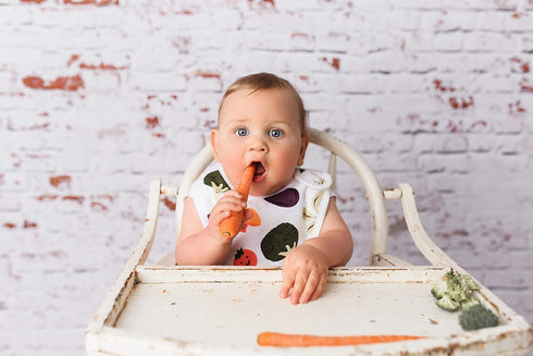 Baby Bib Large Toddler Burpy Absorbent Feeding Reflux Drool Teething Snap Button (Veggies)...