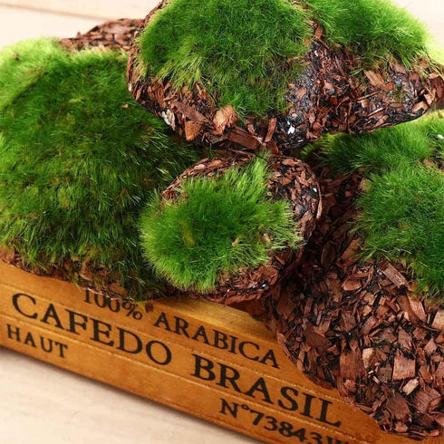 6Pcs Foam Moss Green Hay Stone DIY Family Garden Decoration Vase Glass Moss Miniature Landscape Artificial Plant...